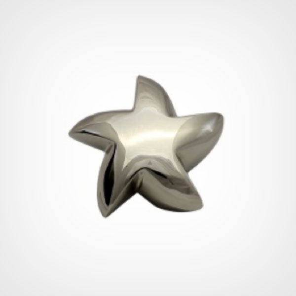 Chrome Keepsake Star