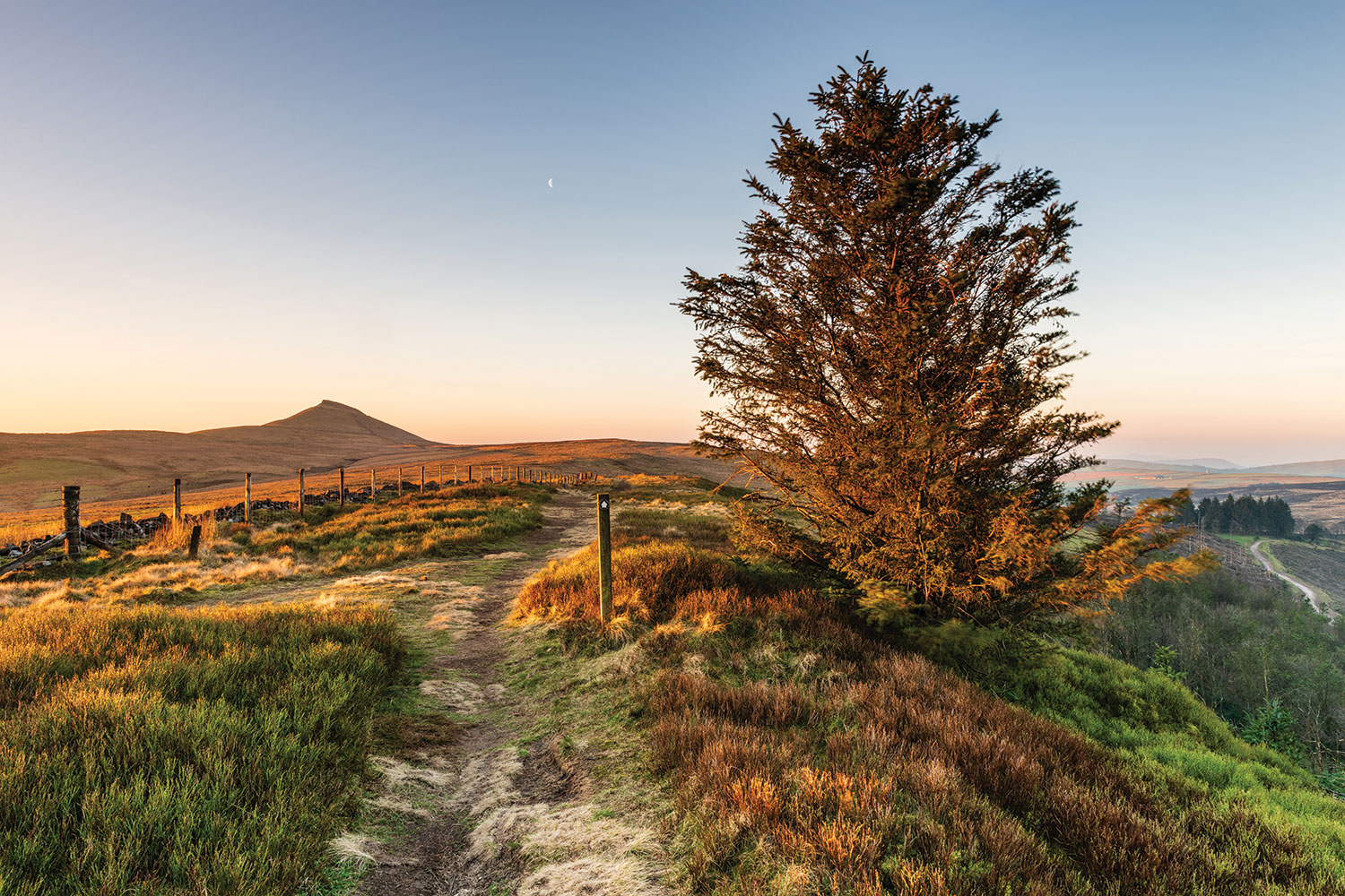 04-Path-to-Shutlingsloe