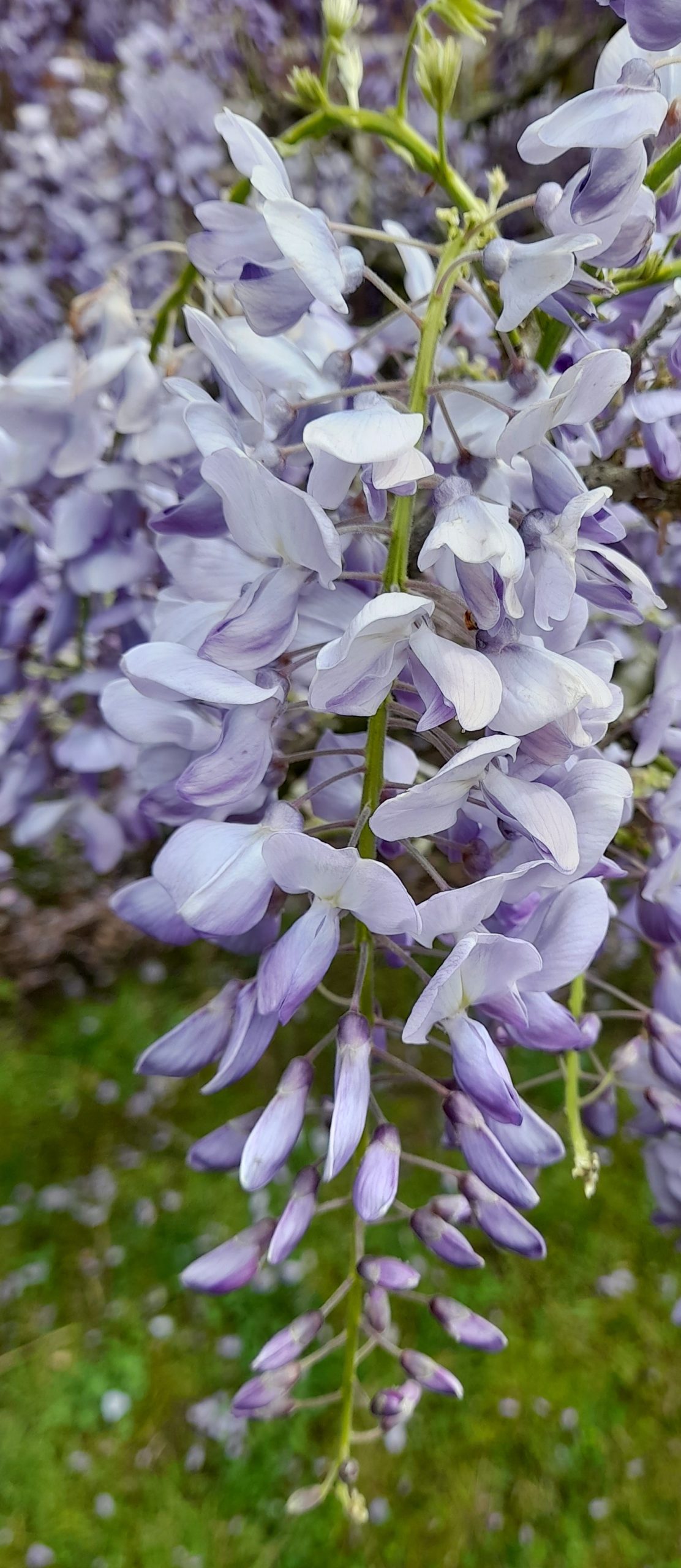 20220512_1047312-scaled