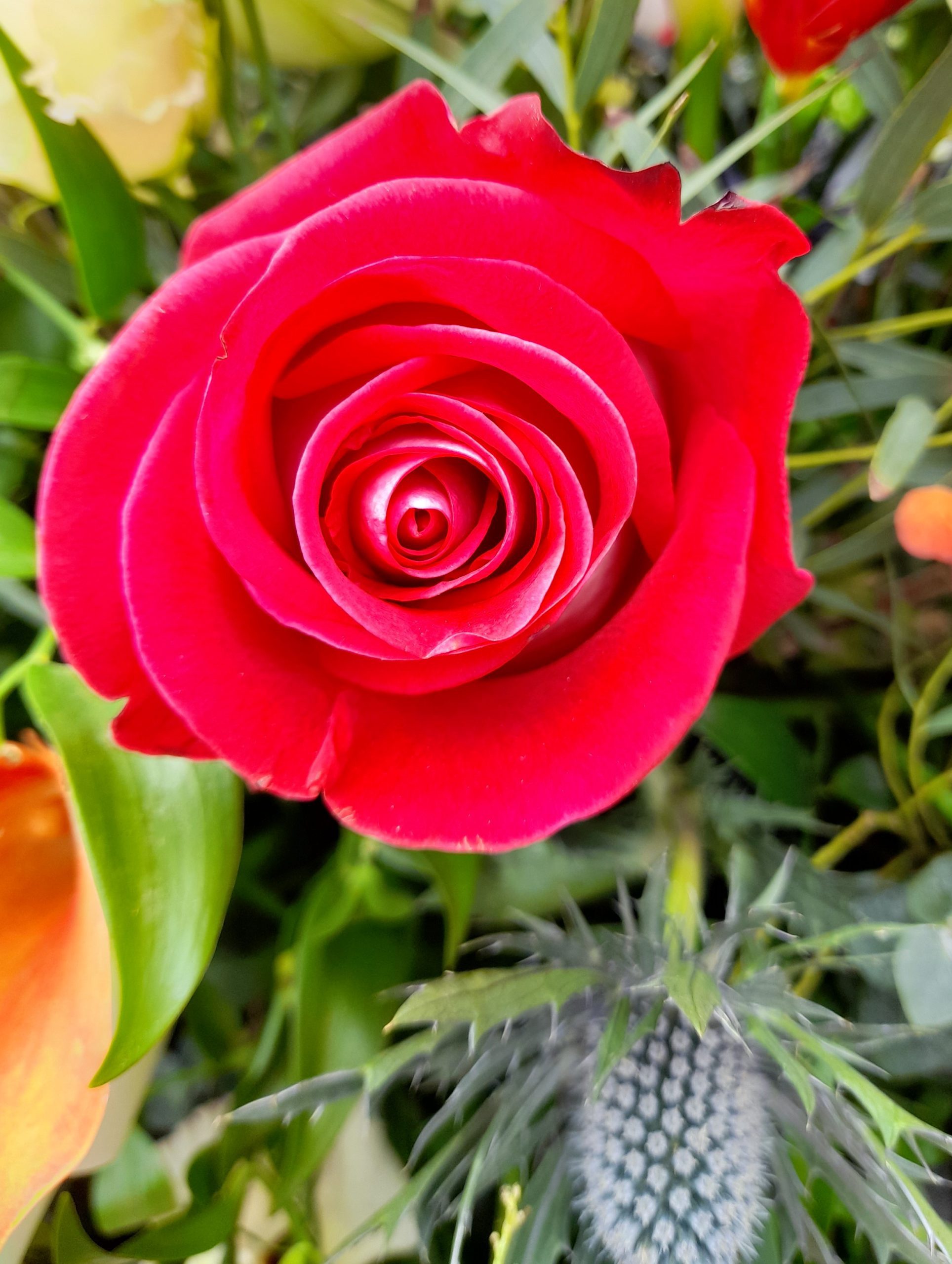 20220701_090710-scaled