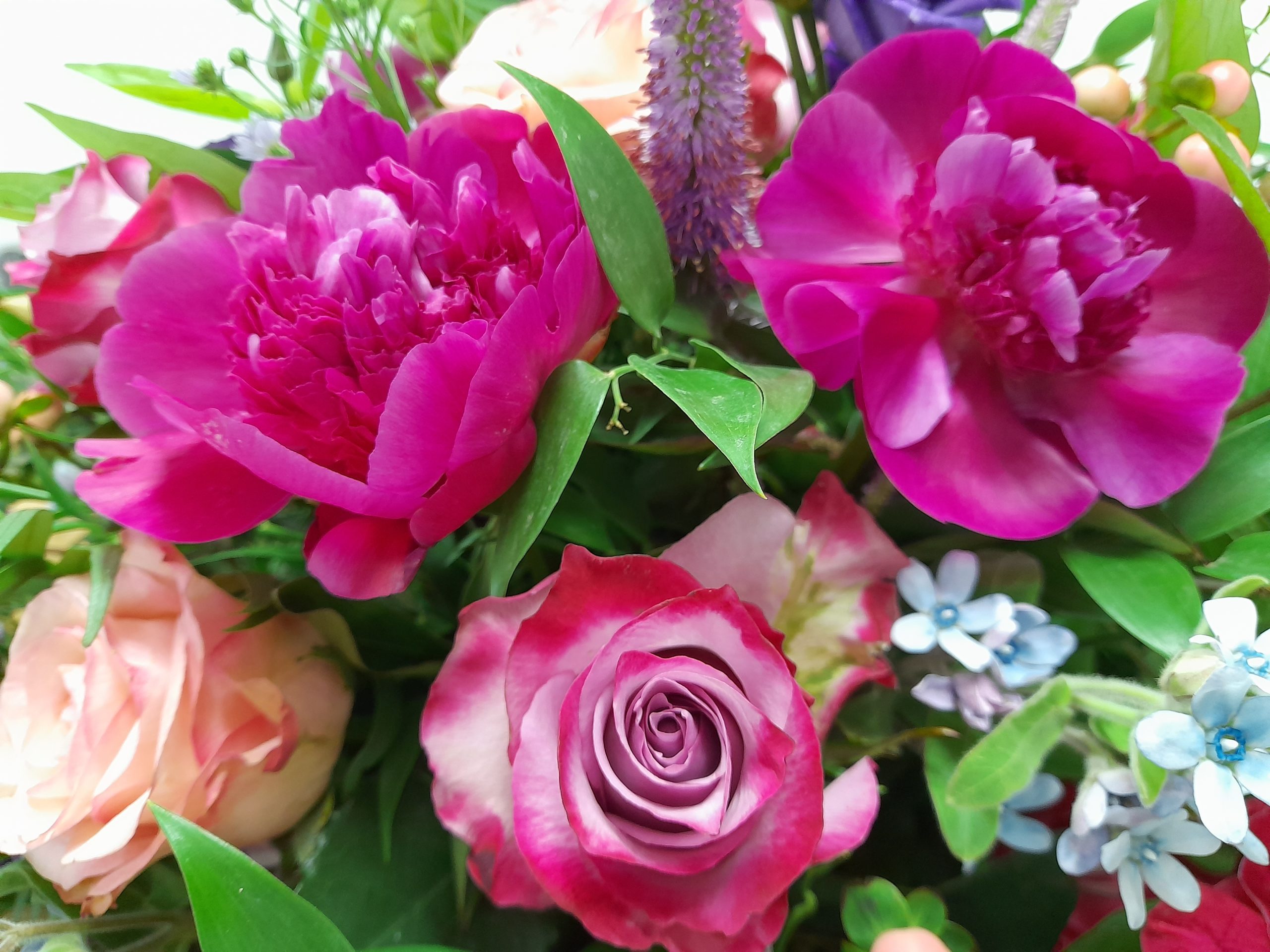 20220708_082831-scaled