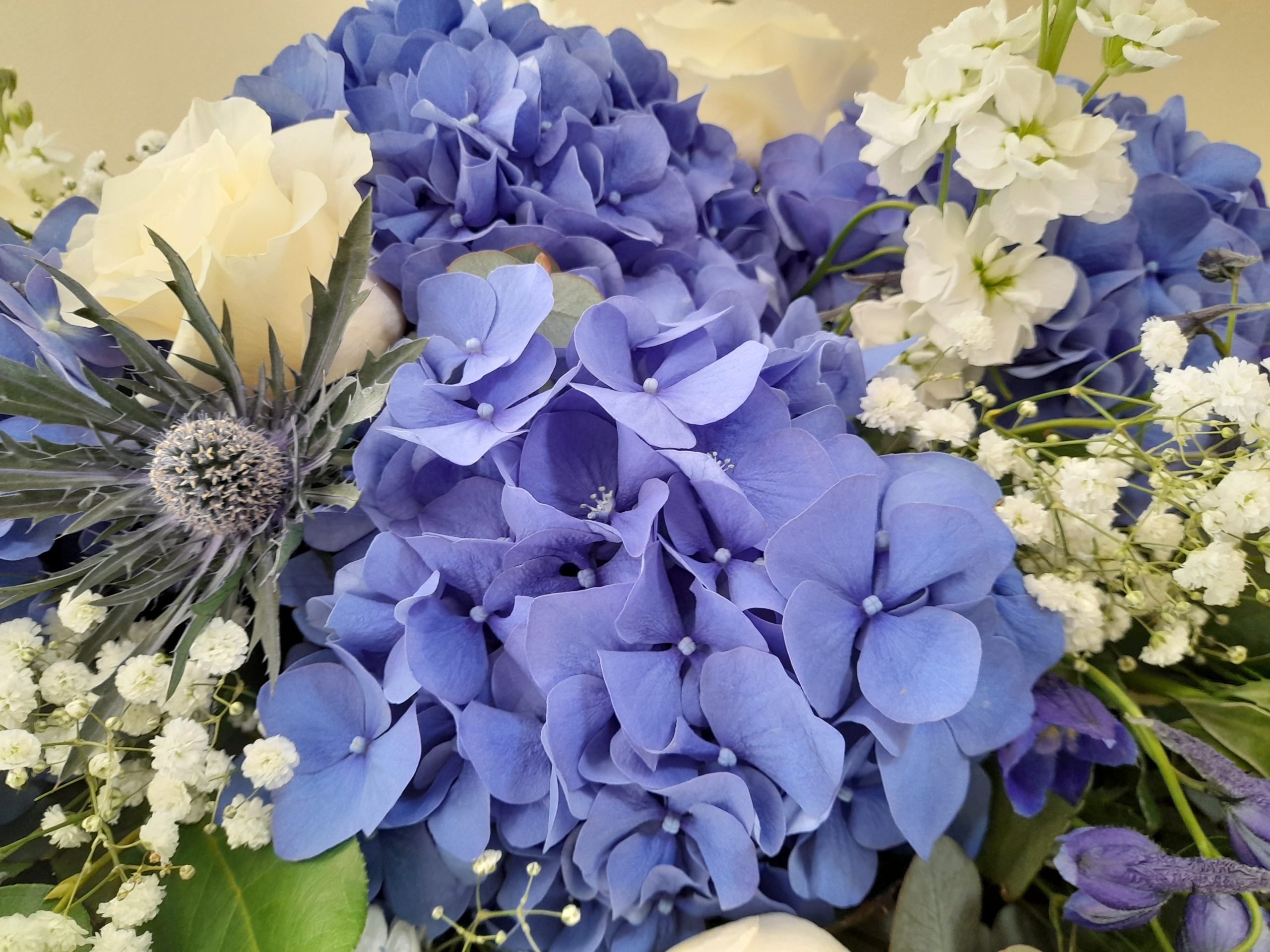 20220711_093652-scaled