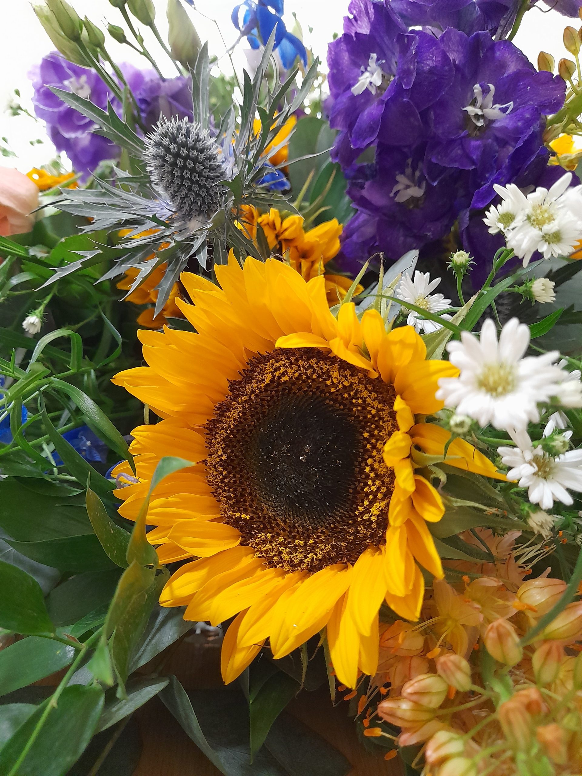 20220713_105136-scaled