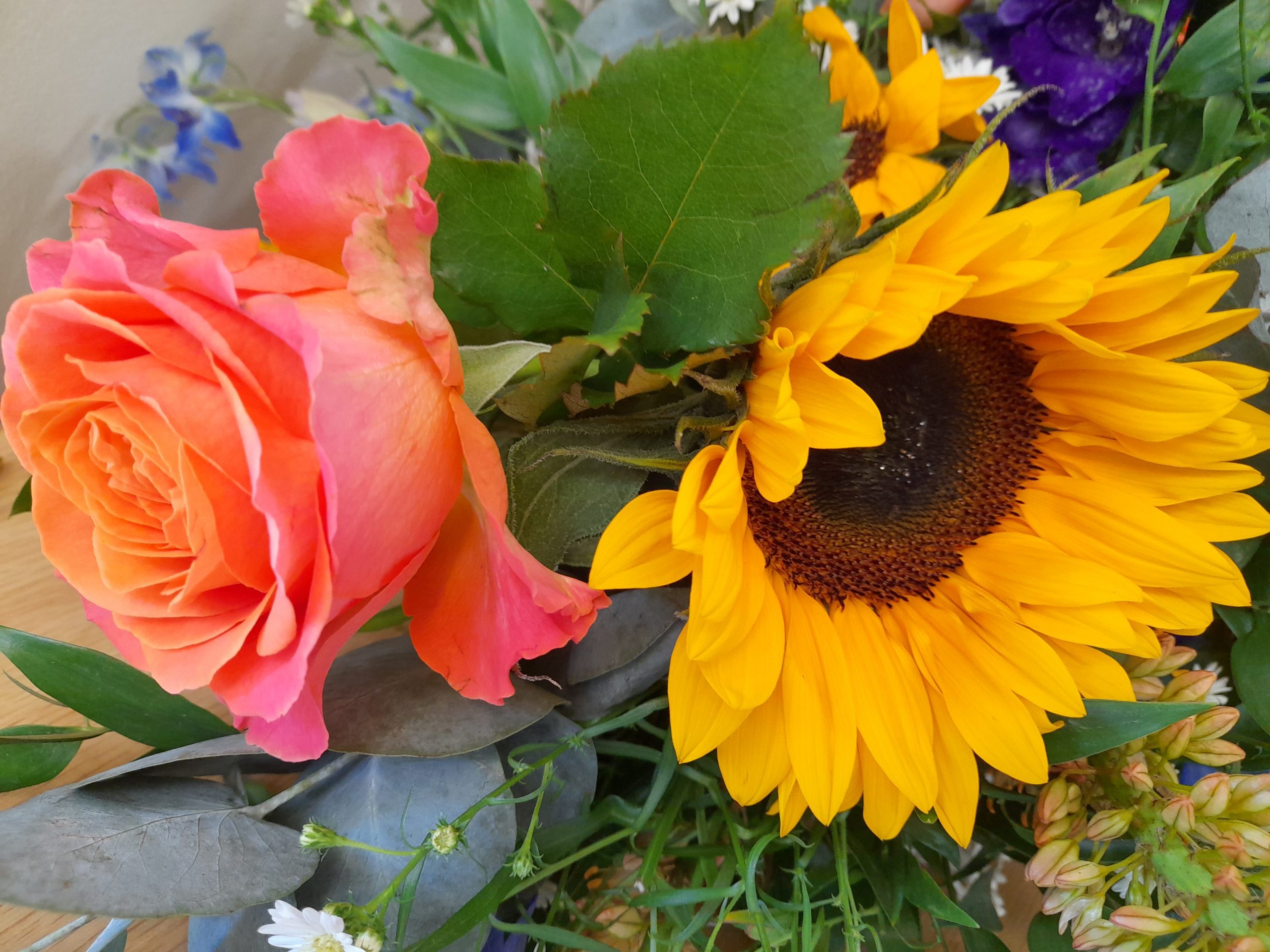 20220713_105158-scaled