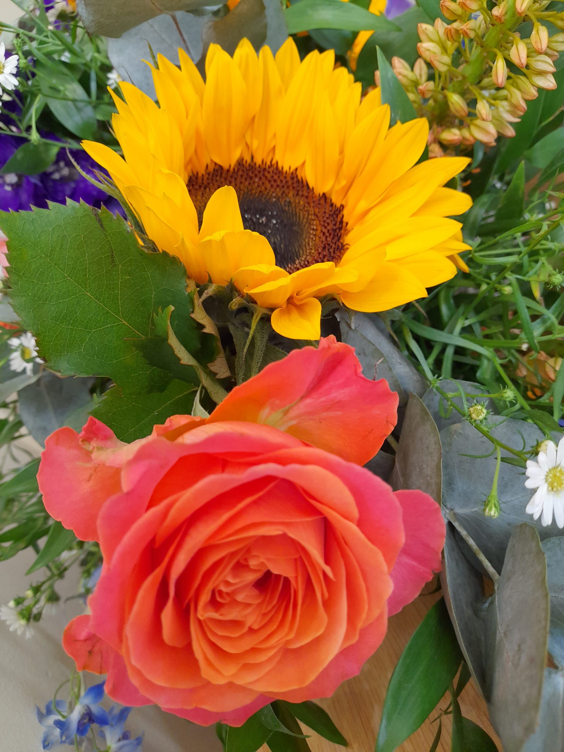 20220713_105212-scaled