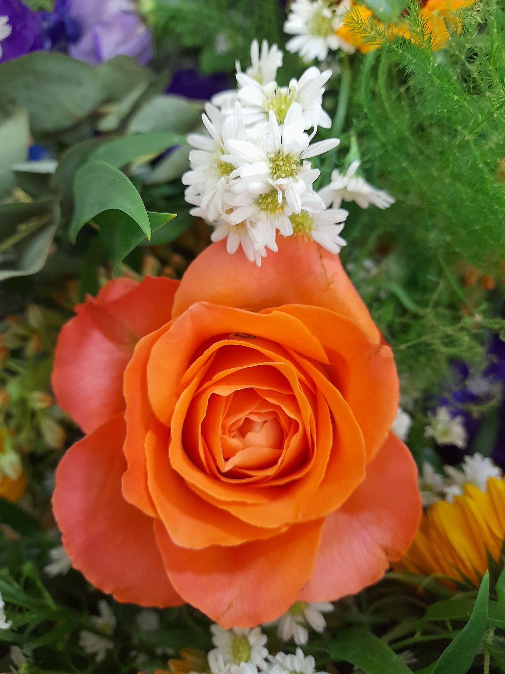 20220713_105228-scaled