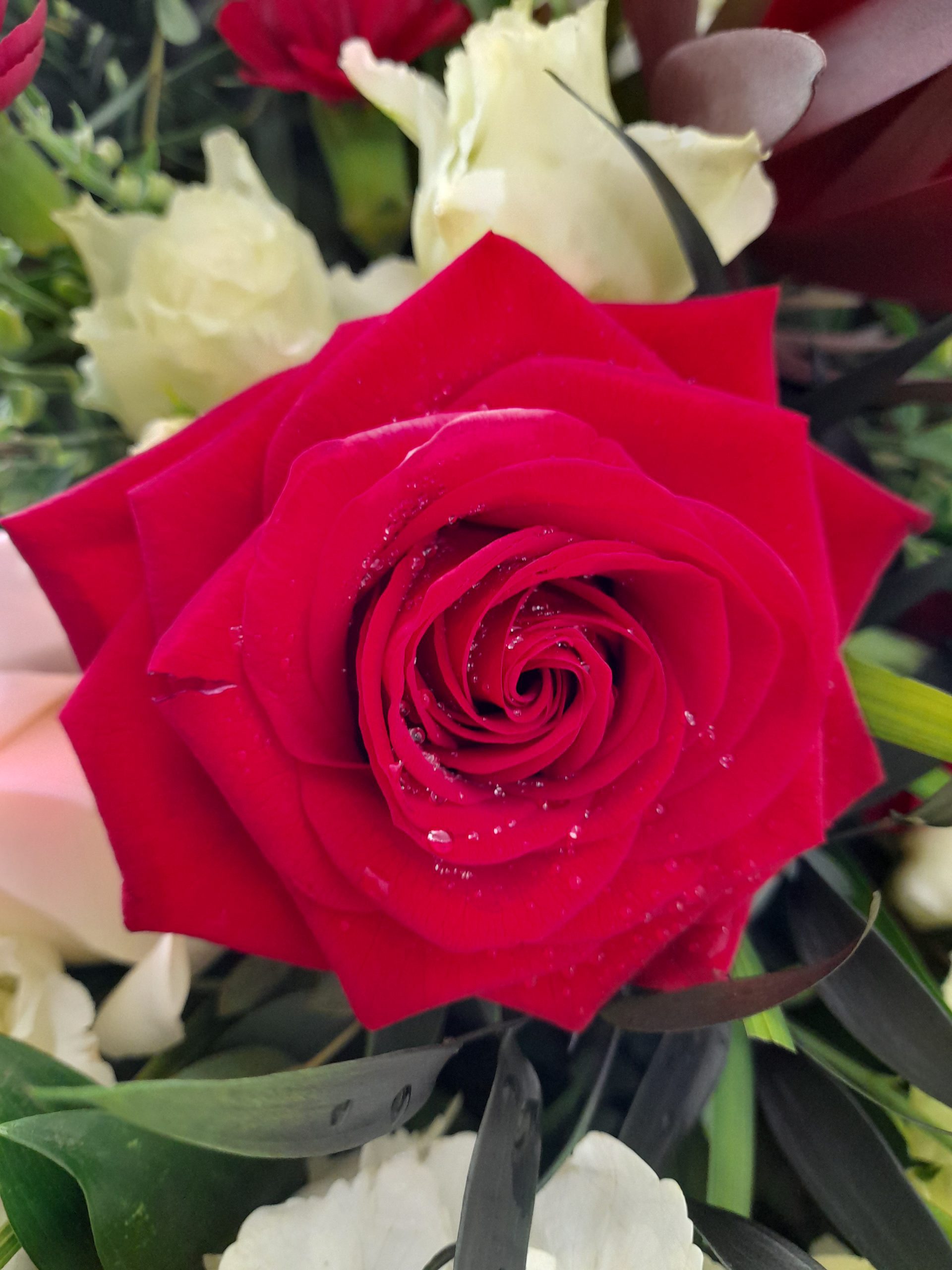 20230512_084611-scaled