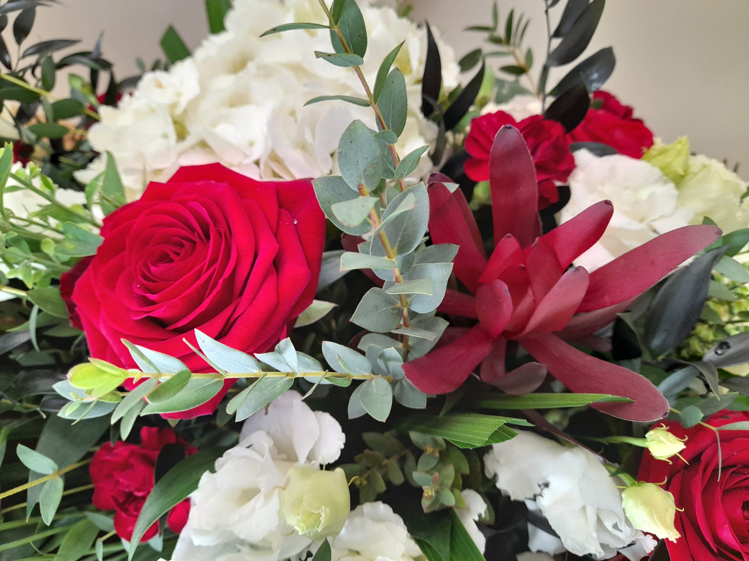 20230512_084635-scaled