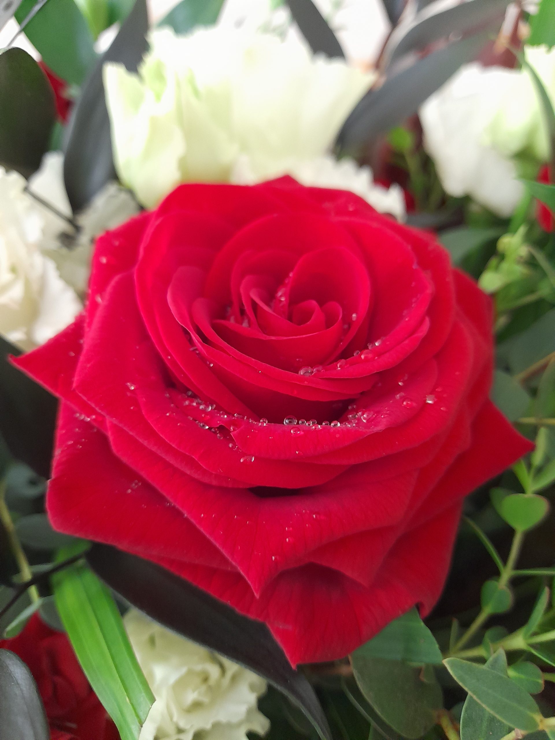 20230512_084721-scaled