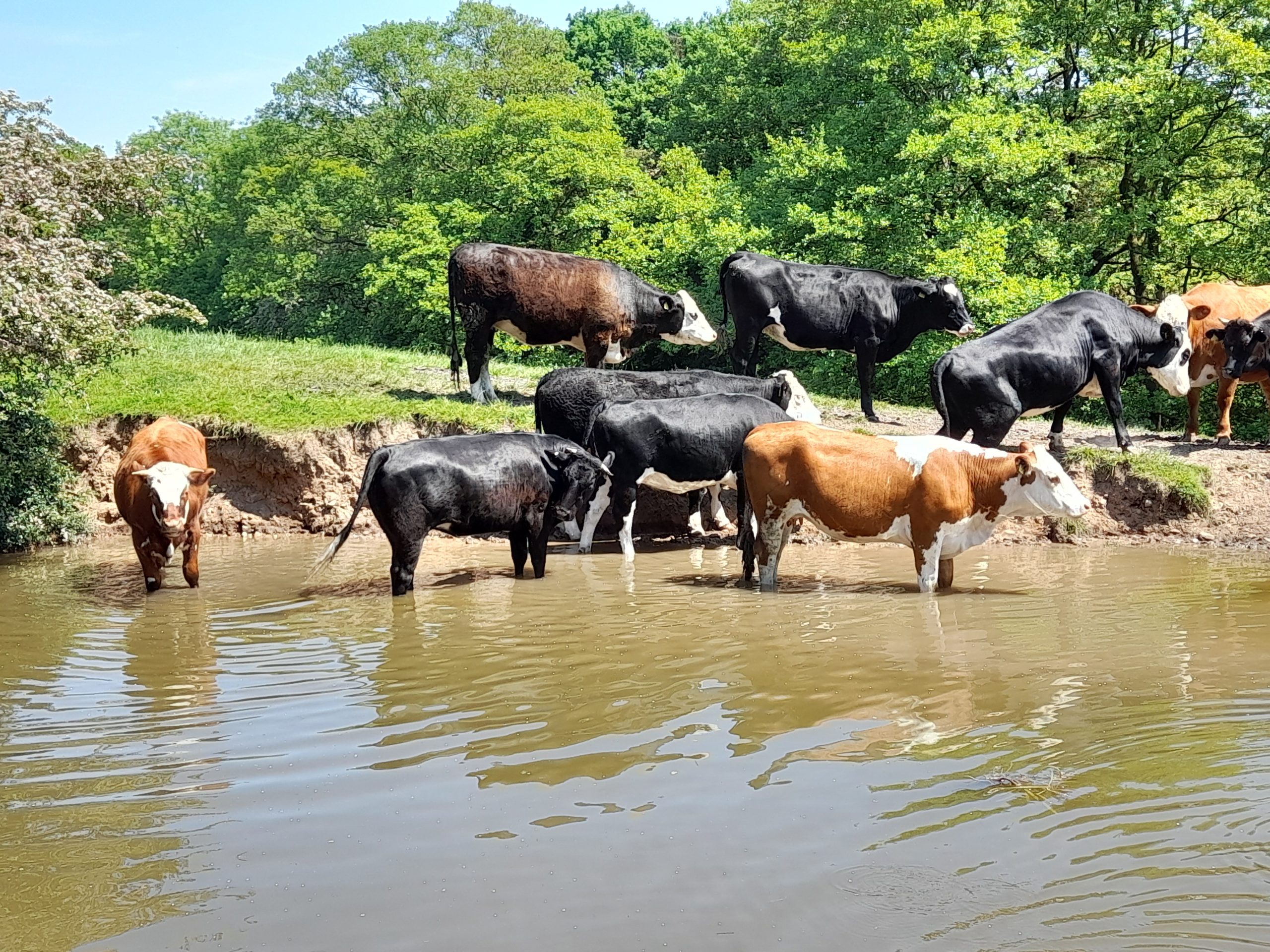 20230604_134247-1-scaled