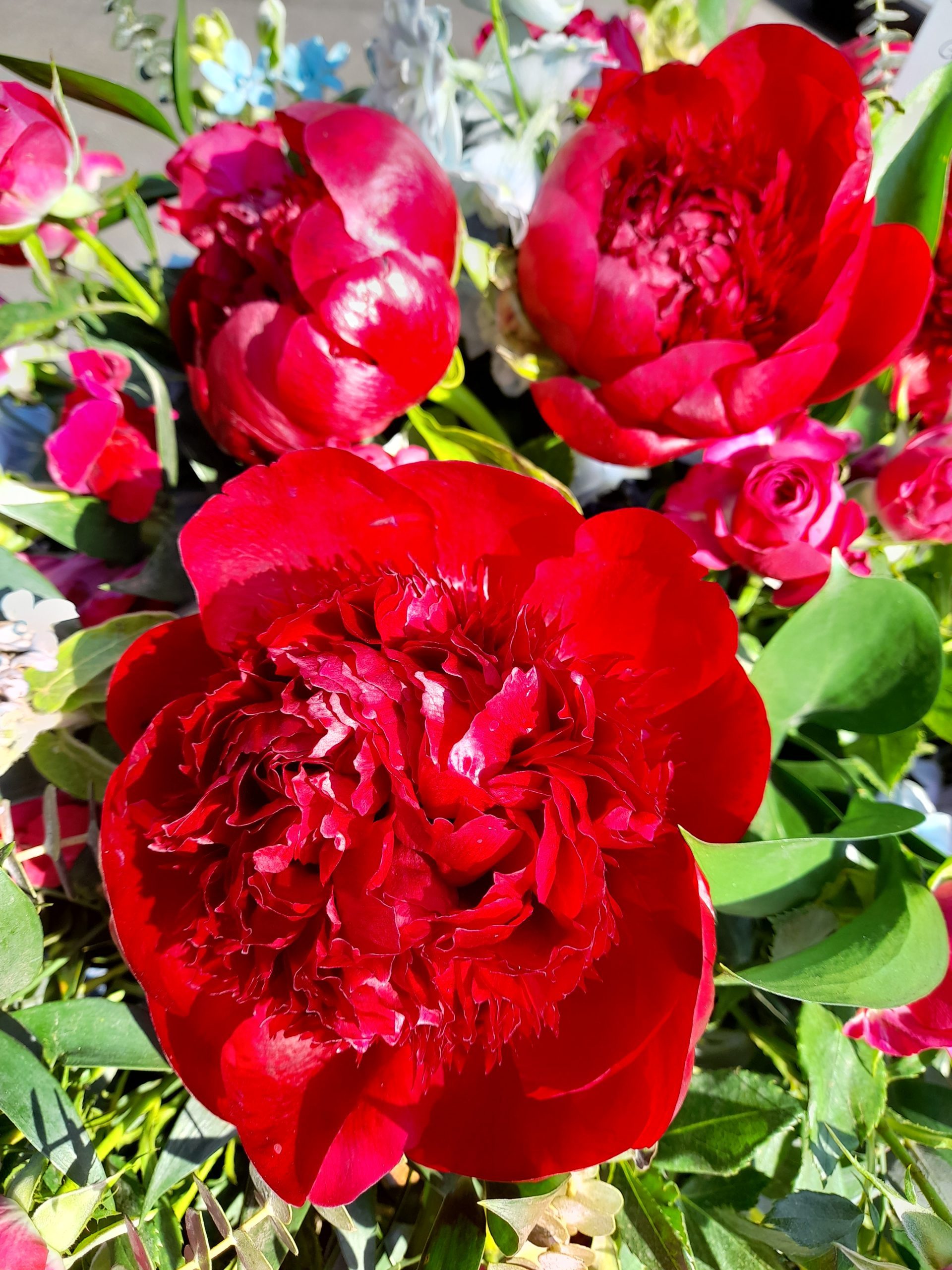 20230608_101129-scaled