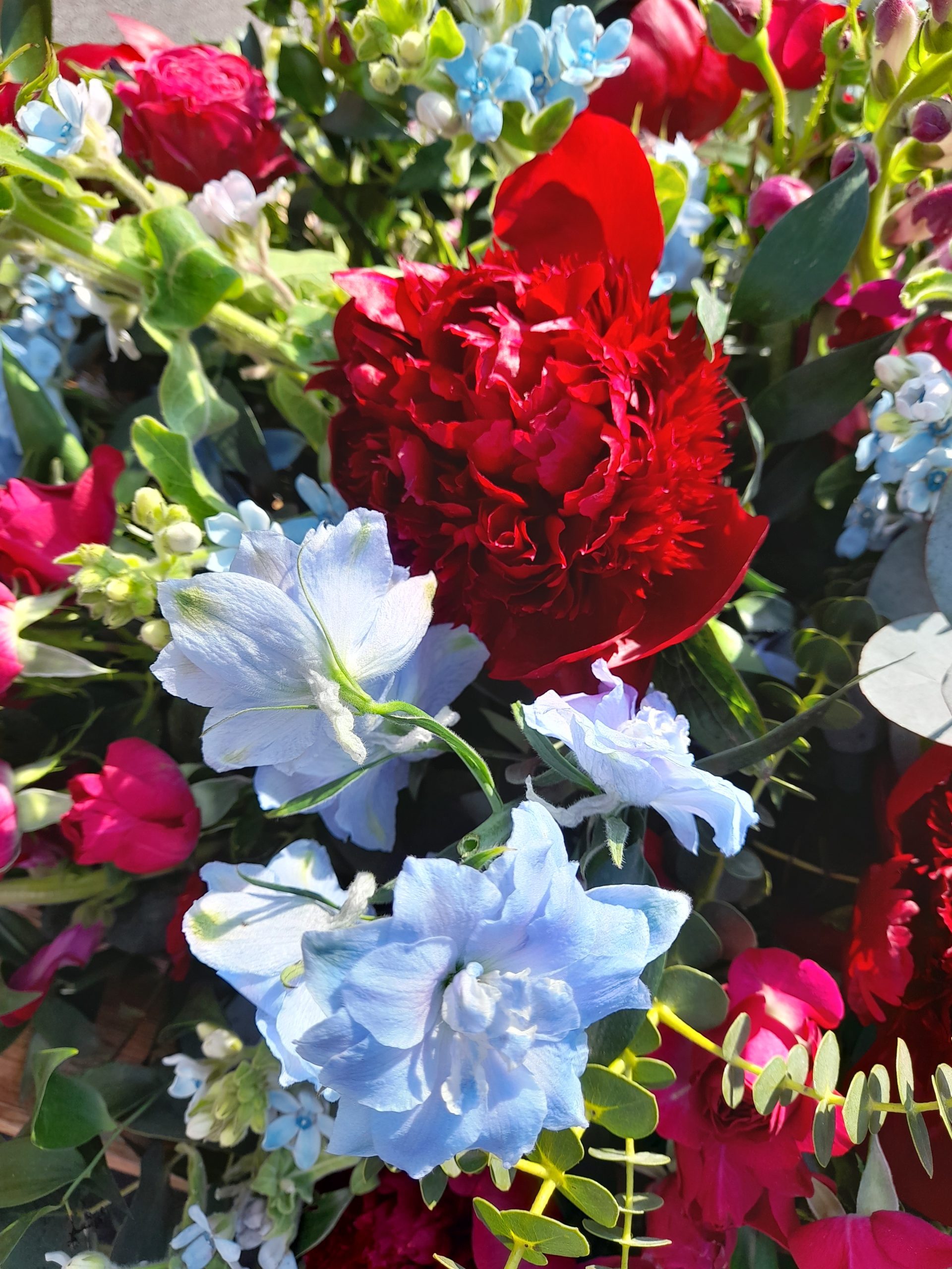 20230608_101203-scaled