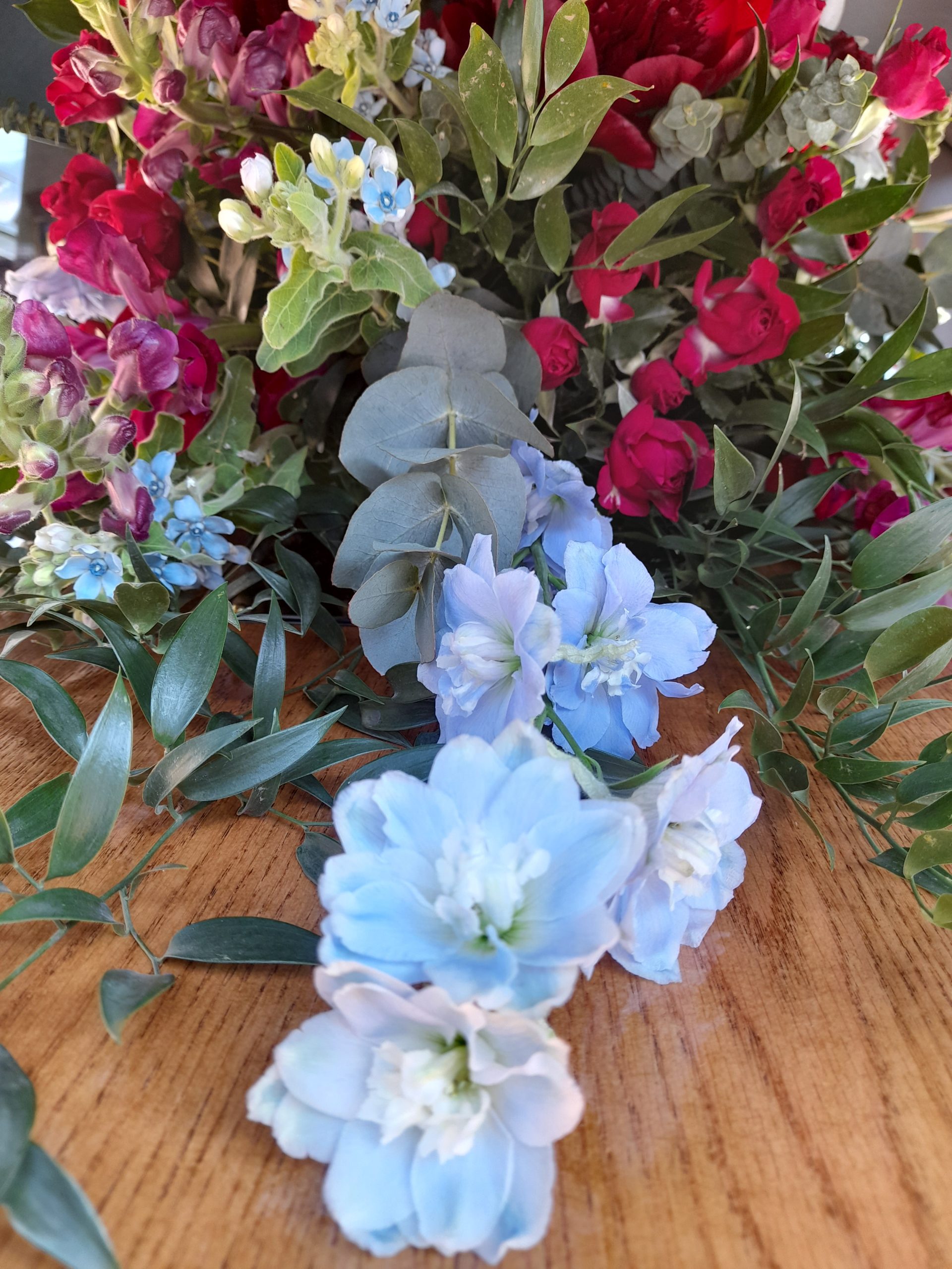 20230608_101447-scaled