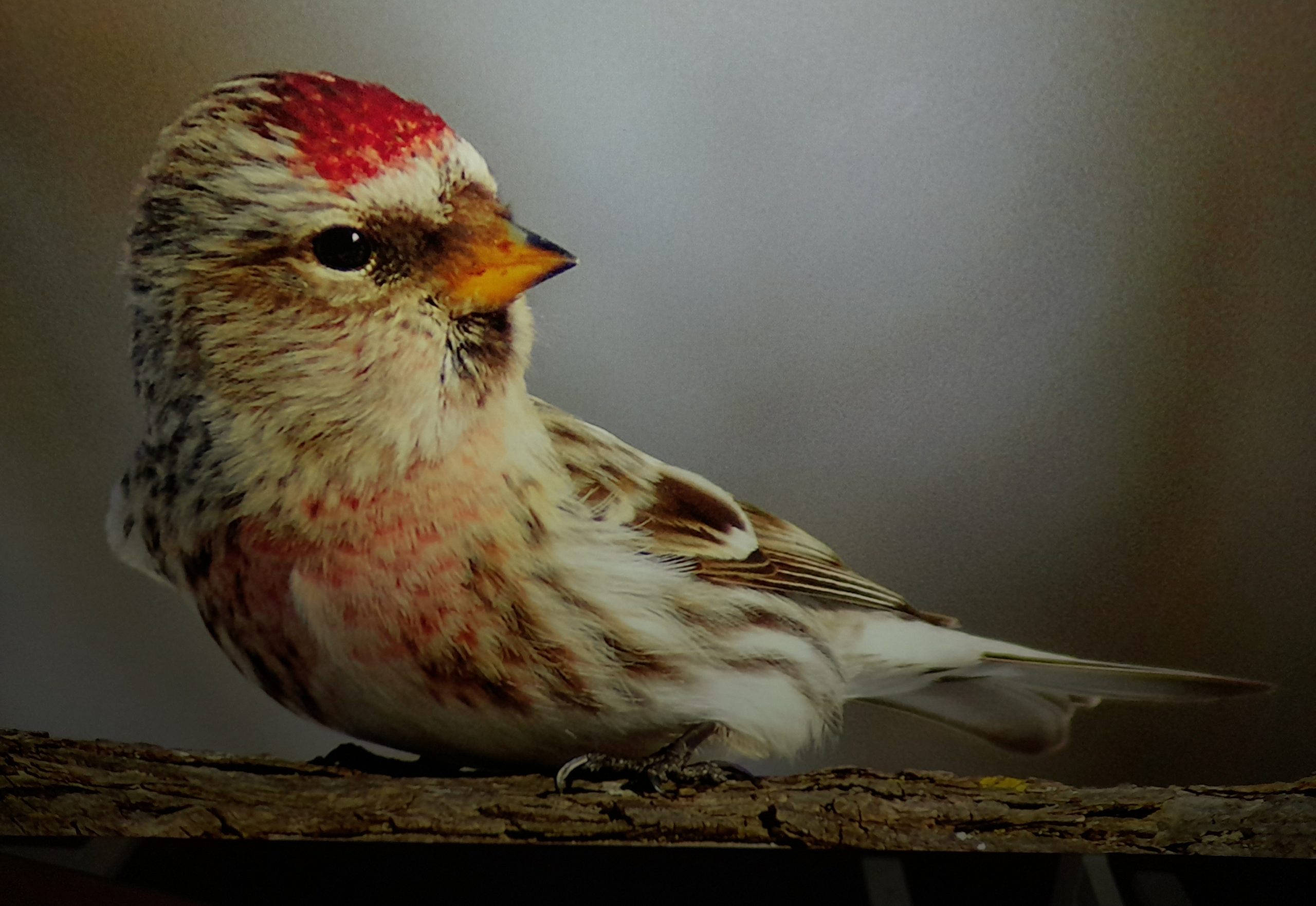 20230727_100308-scaled