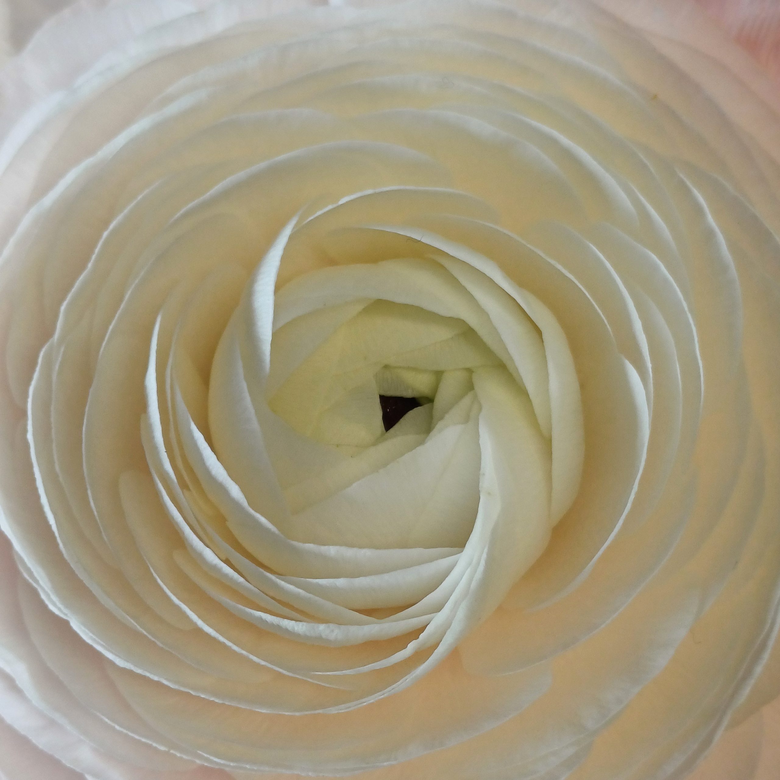 20240318_110929-scaled