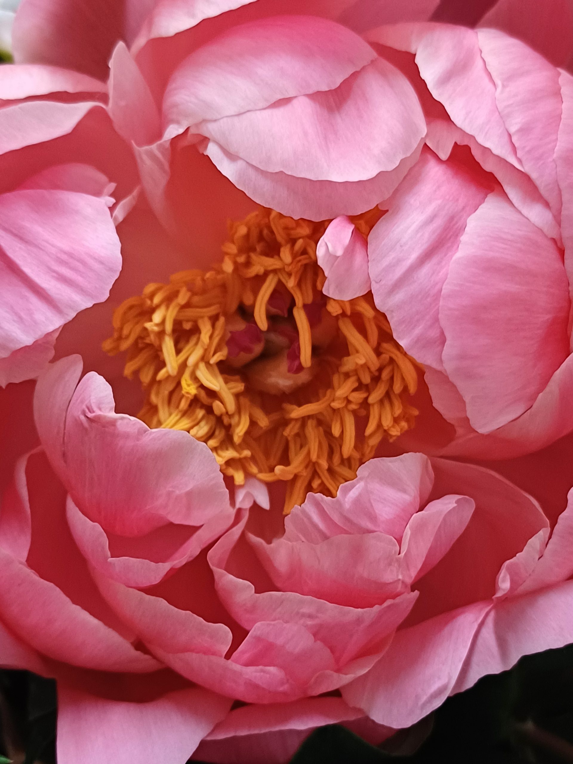 20240515_083307-scaled