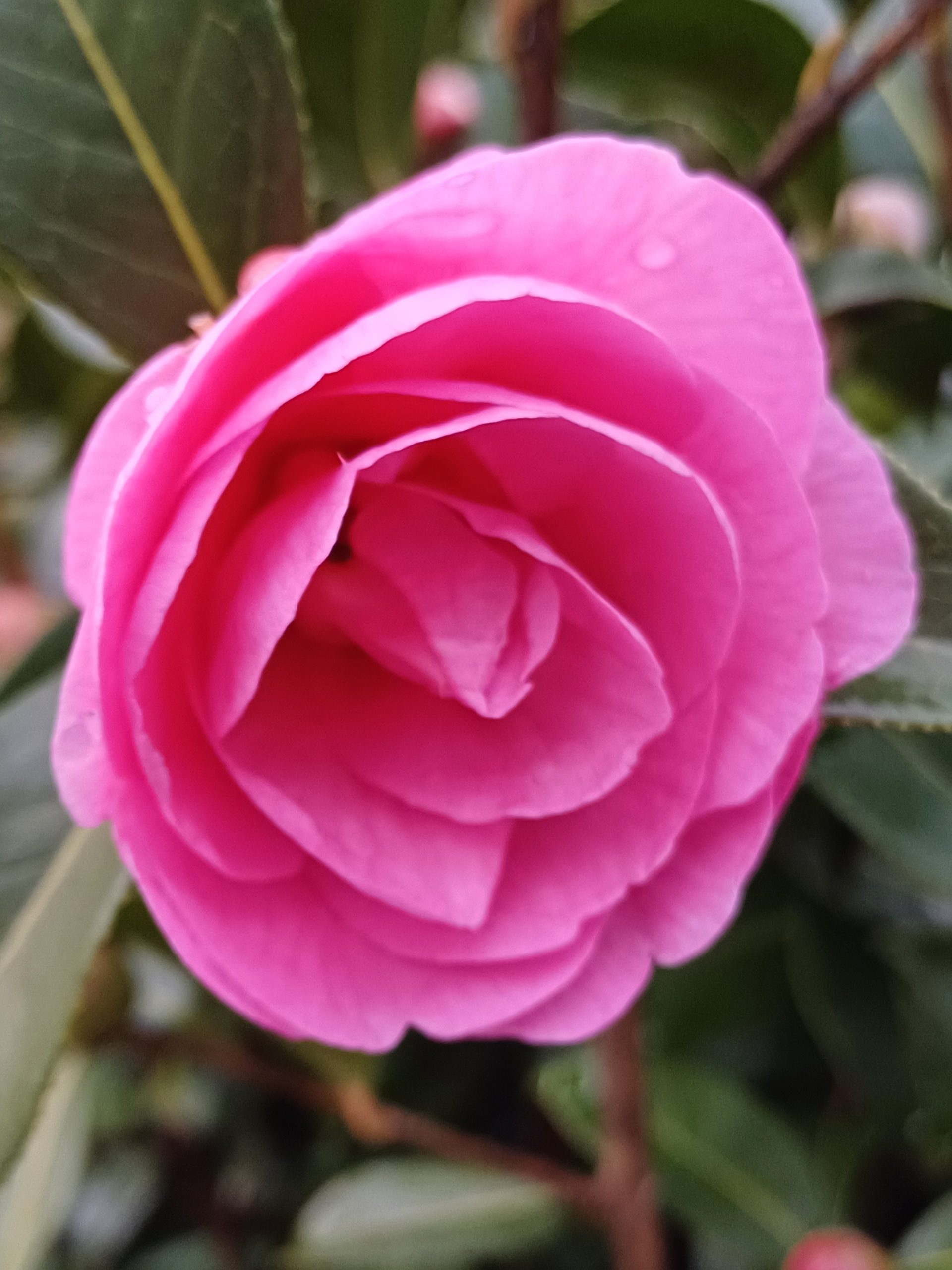 20250314_071604-scaled