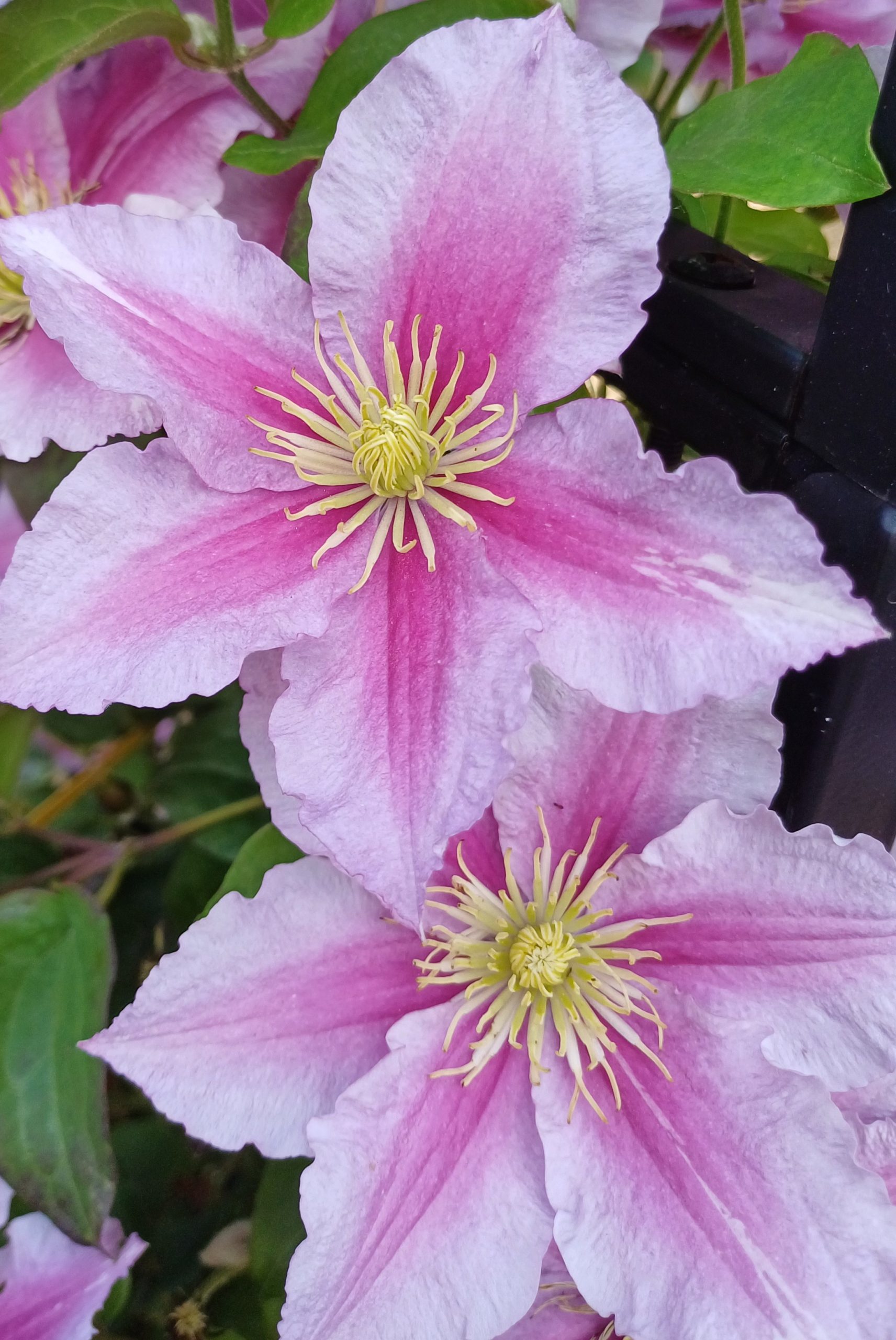 20250614_1102522-scaled