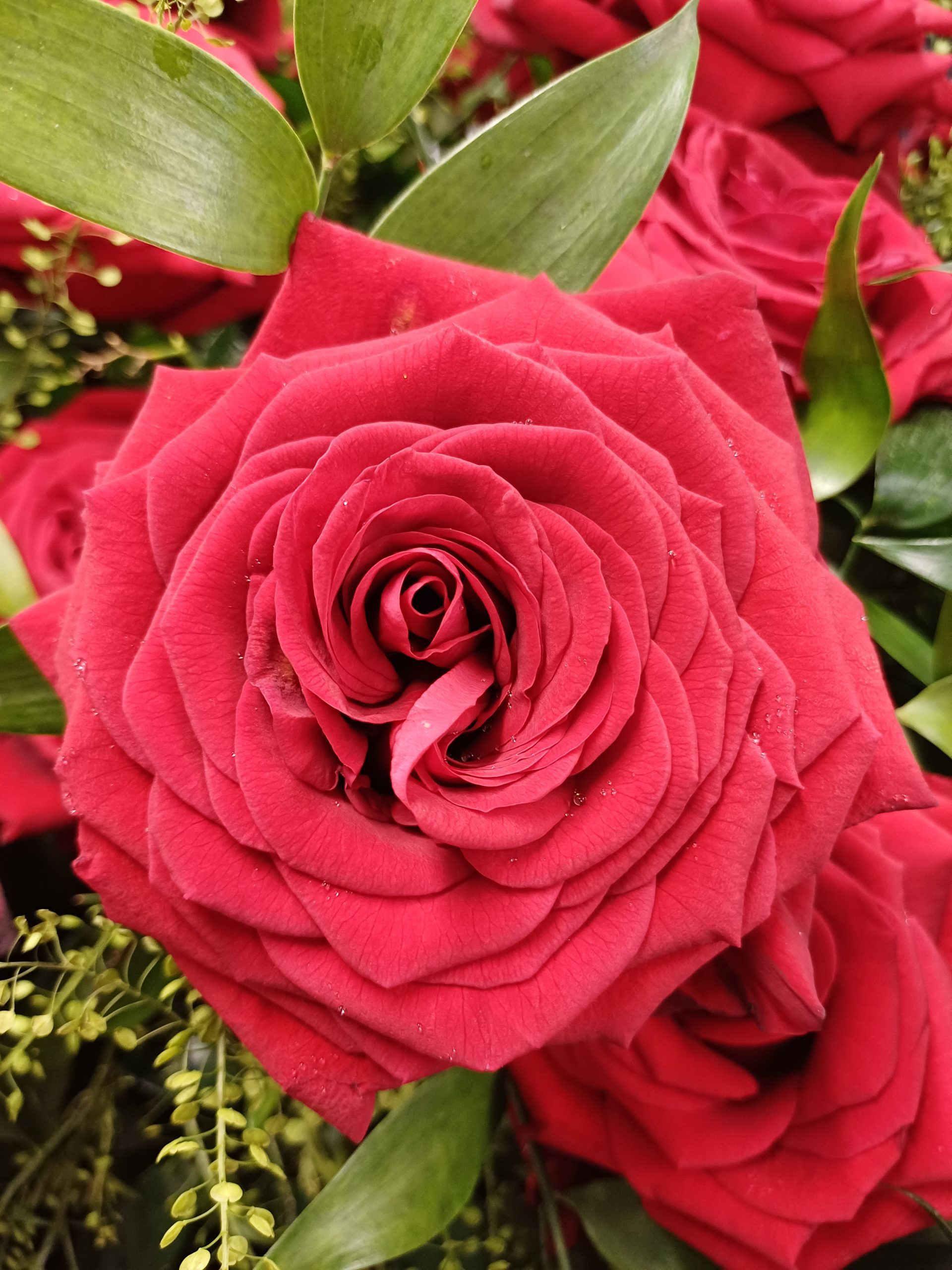 20250623_083611-scaled