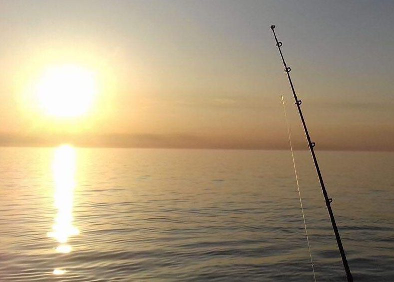 fishing-rod-and-sunset-e1738604011291