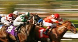 horse-racing