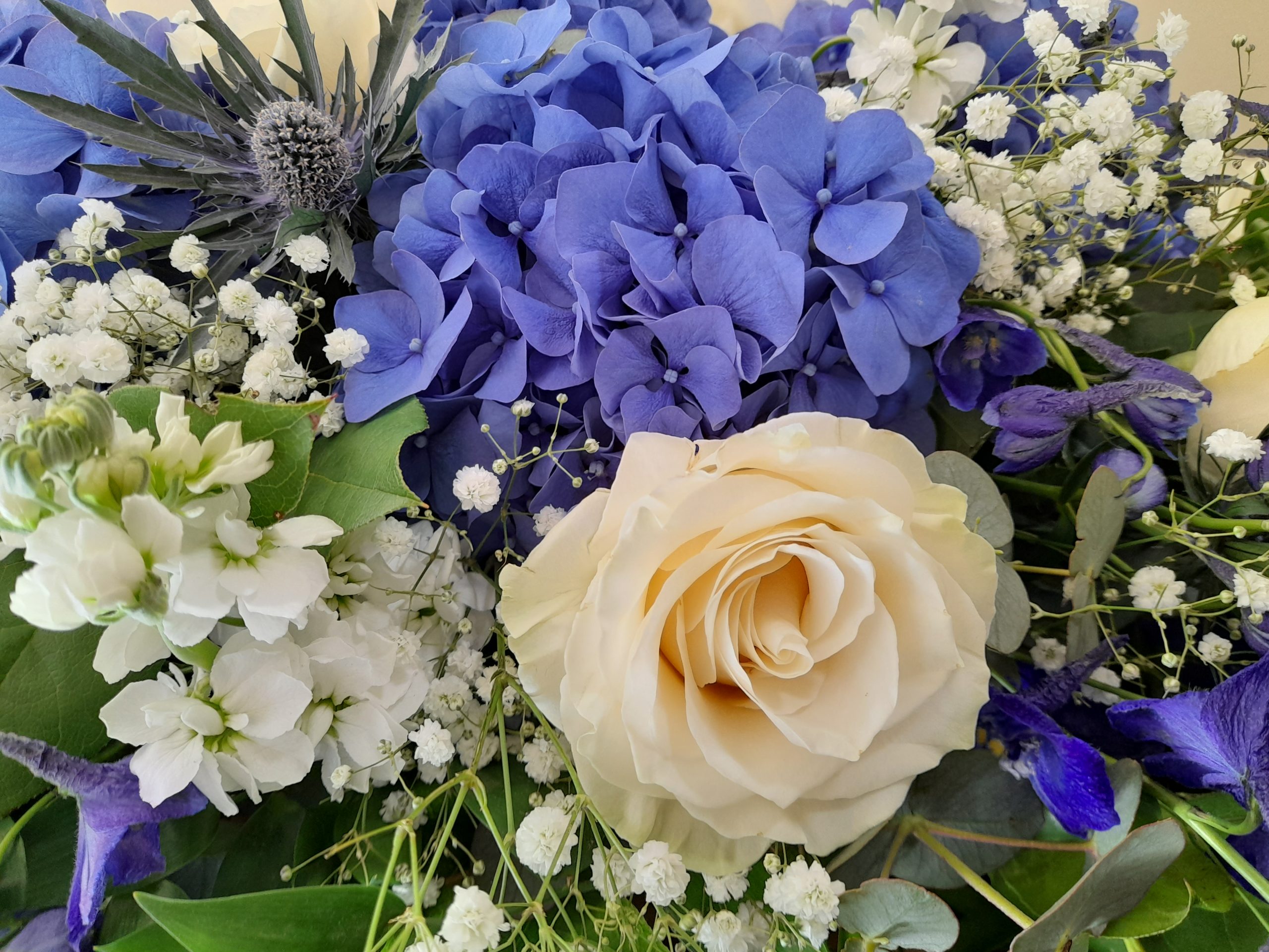 20220711_093711-scaled