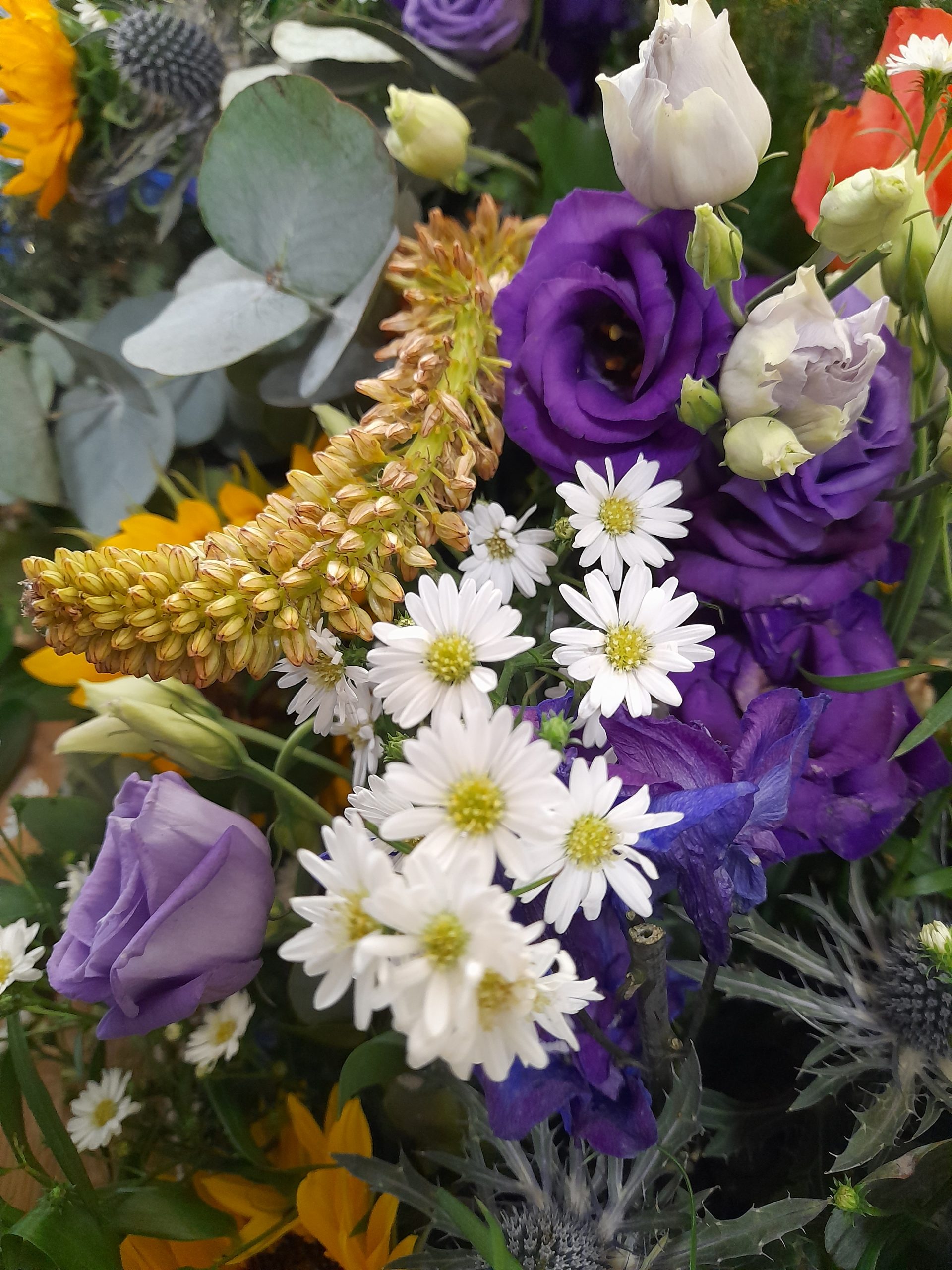 20220713_105029-scaled