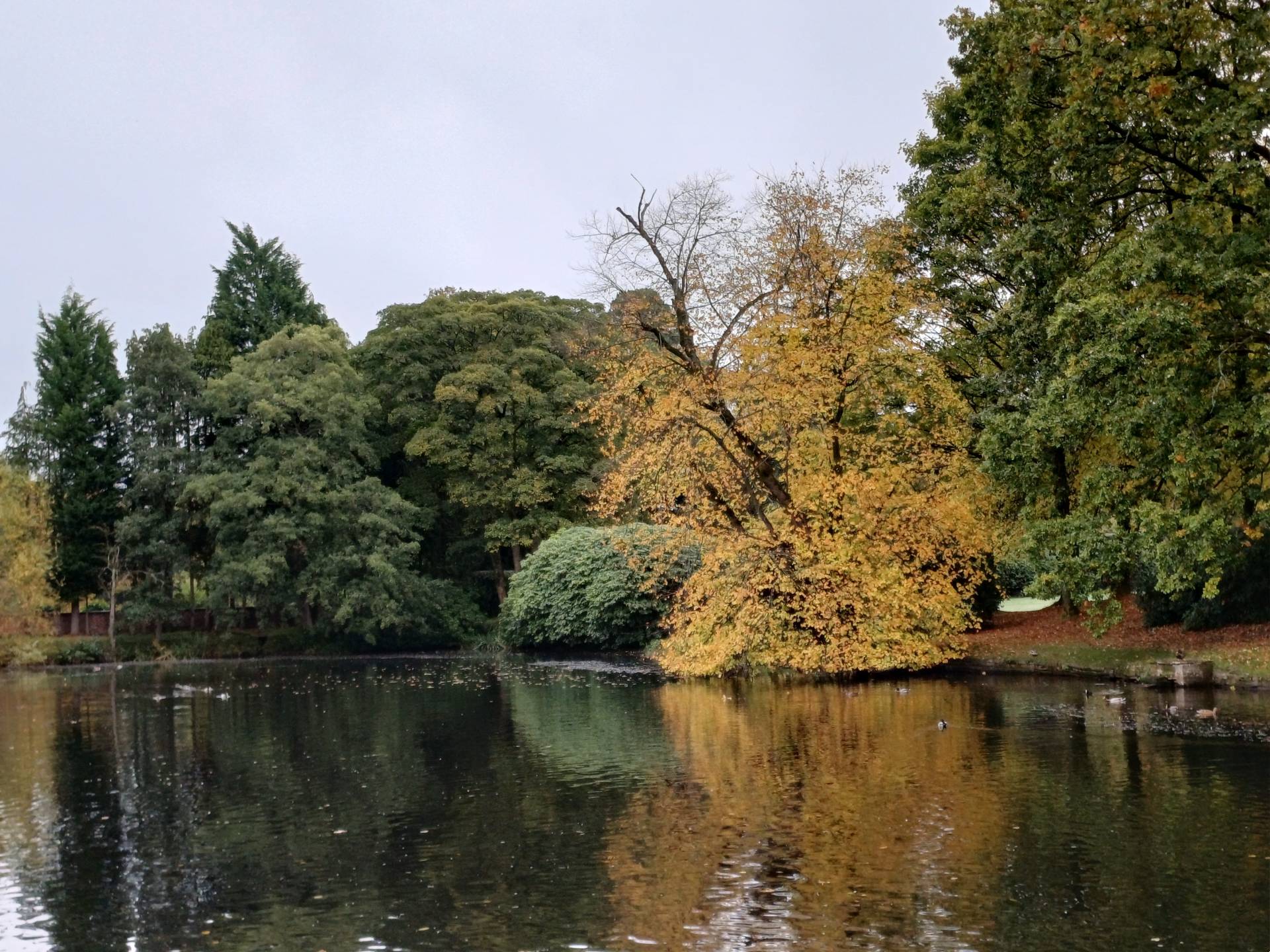 gawsworth 1